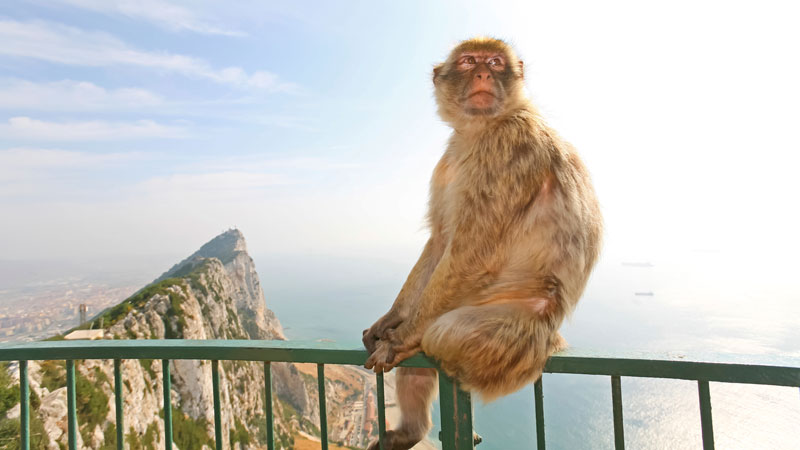 Gibraltar